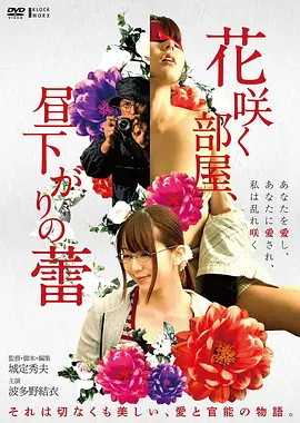花样年华海报